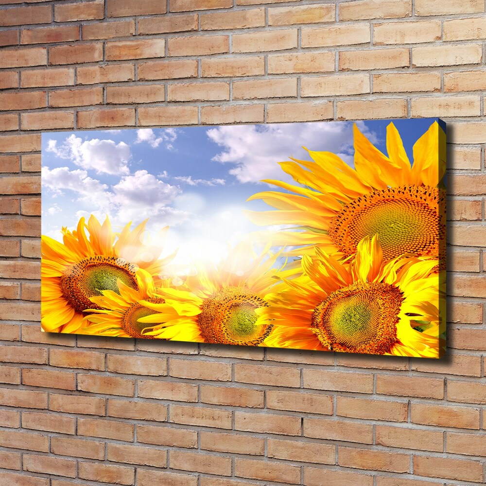 Canvas wall art Sunflowers