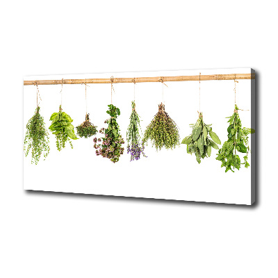 Canvas wall art Herbs on a string