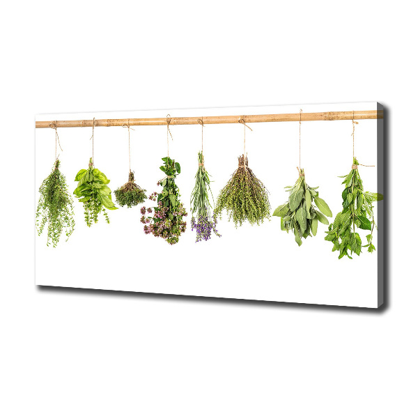 Canvas wall art Herbs on a string