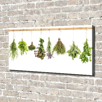 Canvas wall art Herbs on a string