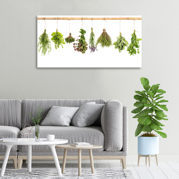 Canvas wall art Herbs on a string