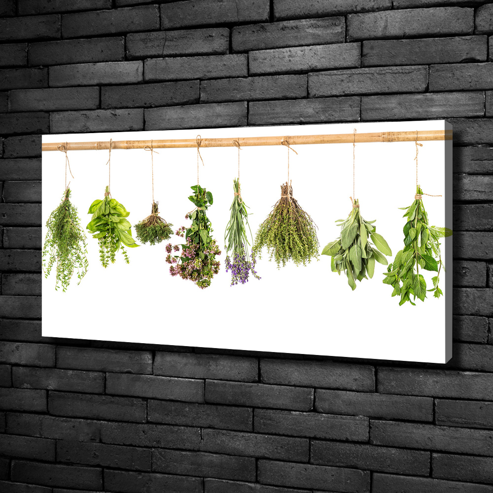 Canvas wall art Herbs on a string