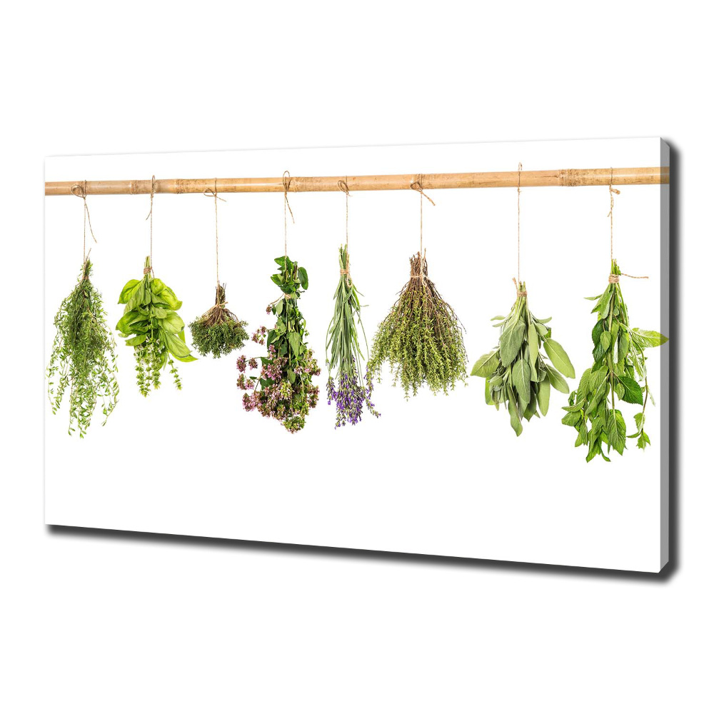 Canvas wall art Herbs on a string