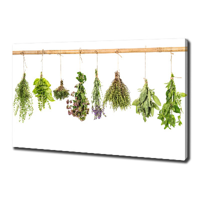 Canvas wall art Herbs on a string