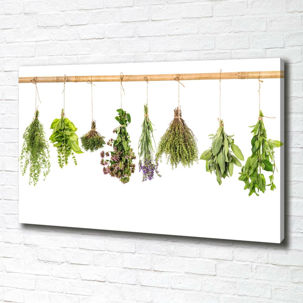 Canvas wall art Herbs on a string