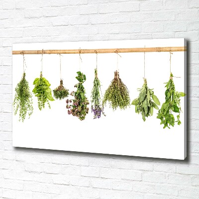 Canvas wall art Herbs on a string