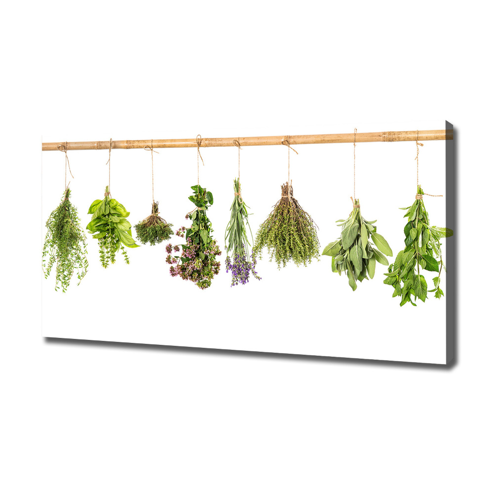 Canvas wall art Herbs on a string