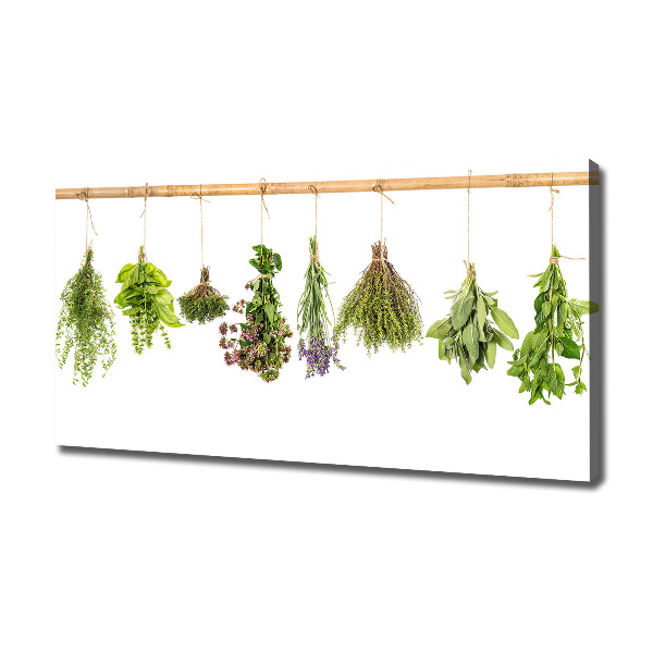 Canvas wall art Herbs on a string