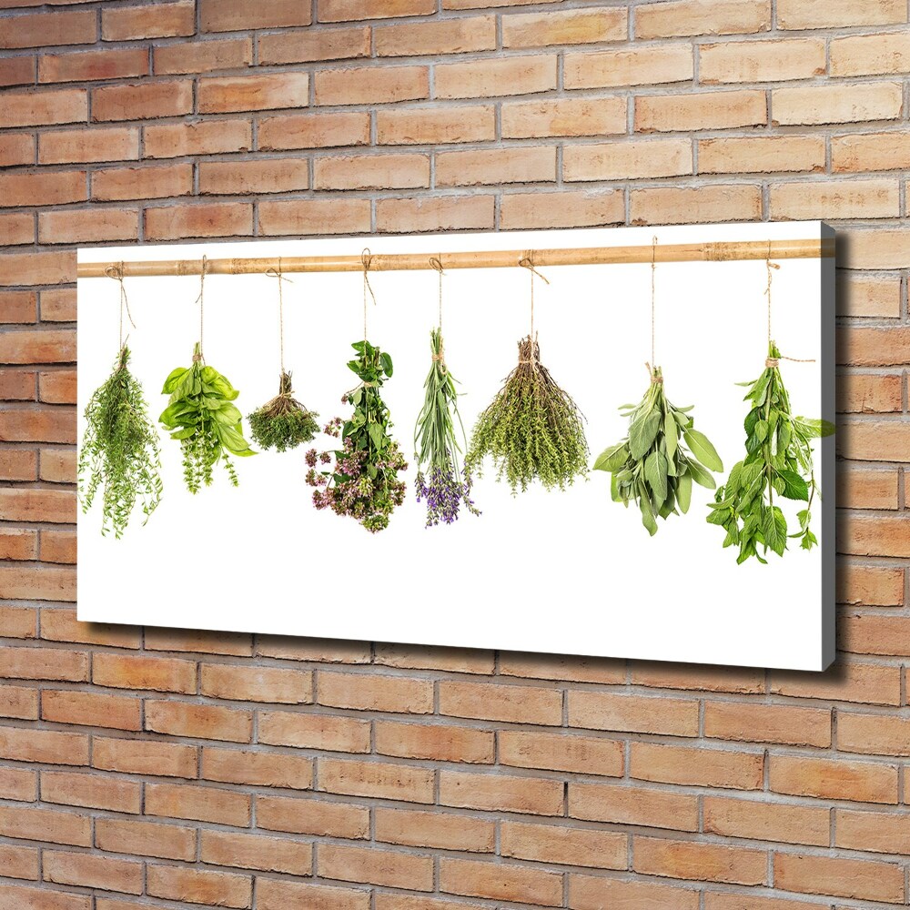 Canvas wall art Herbs on a string