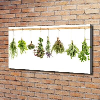 Canvas wall art Herbs on a string