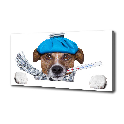 Canvas wall art Sick dog