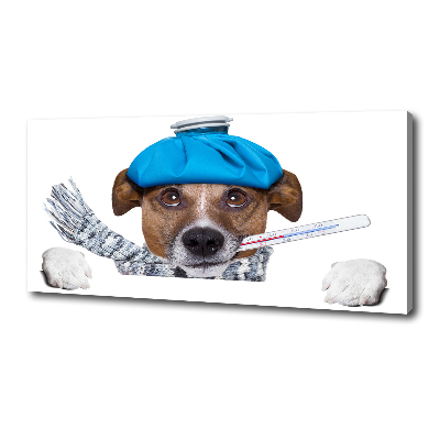 Canvas wall art Sick dog