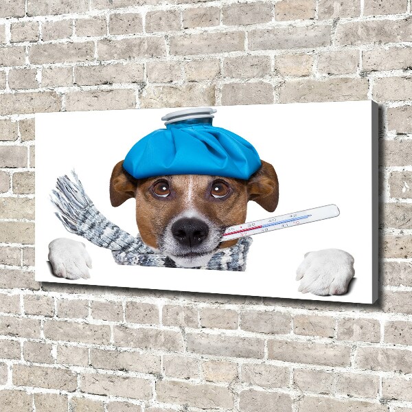 Canvas wall art Sick dog