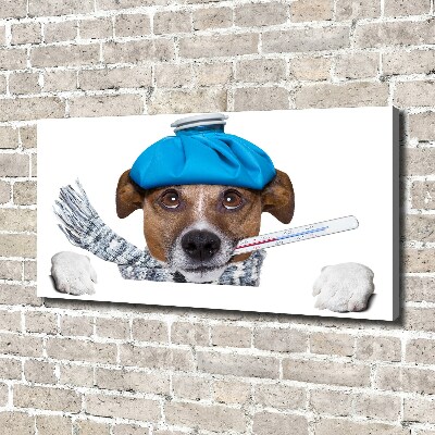 Canvas wall art Sick dog