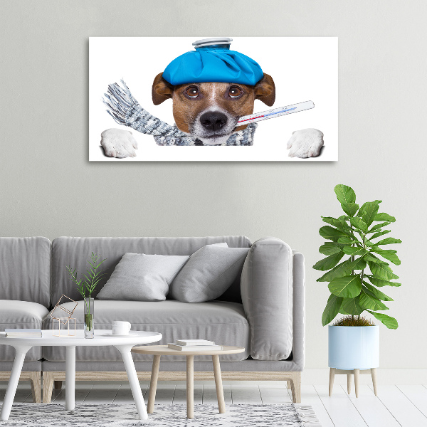 Canvas wall art Sick dog