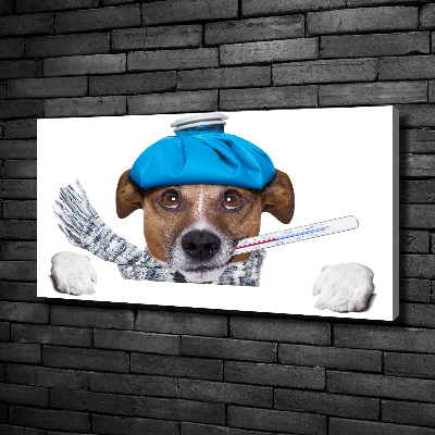 Canvas wall art Sick dog