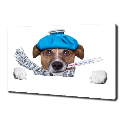 Canvas wall art Sick dog