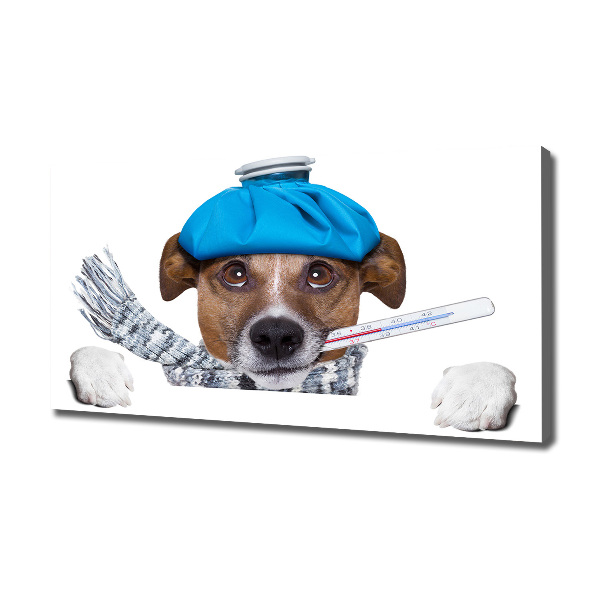 Canvas wall art Sick dog