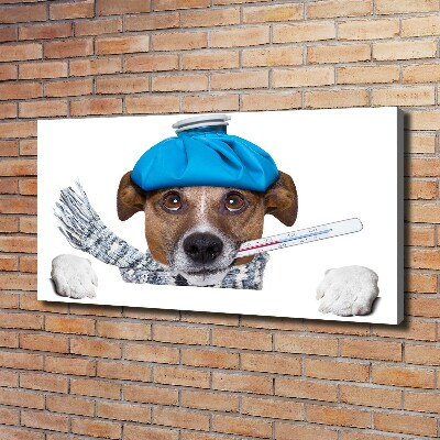 Canvas wall art Sick dog