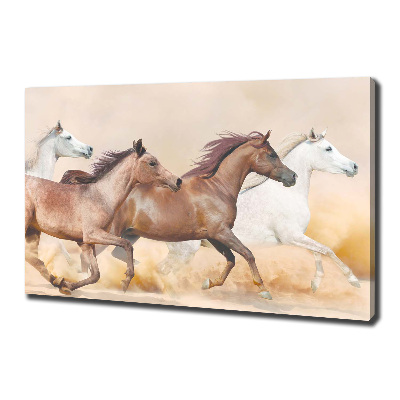 Canvas wall art Horses at gallop