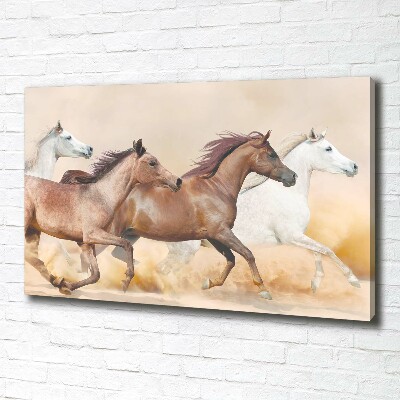 Canvas wall art Horses at gallop