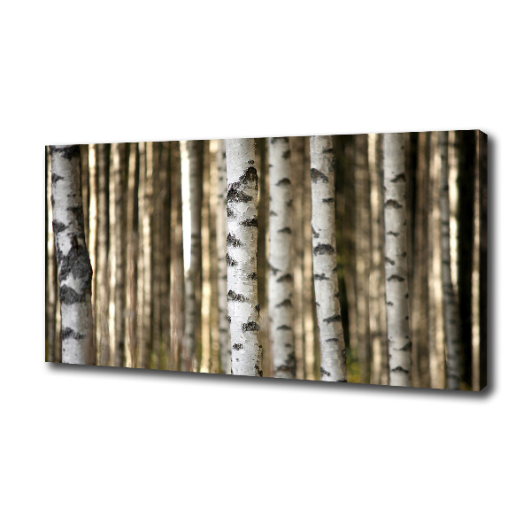 Canvas wall art Birch