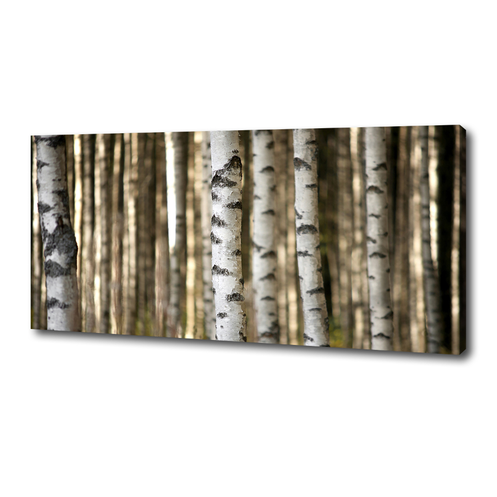 Canvas wall art Birch