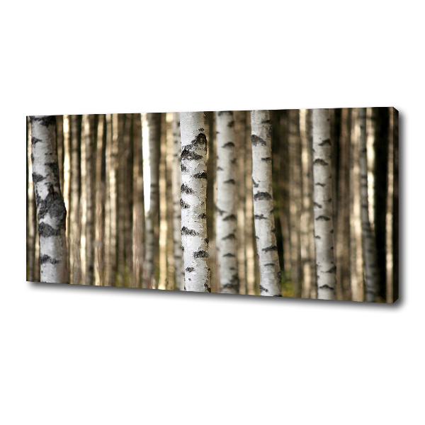 Canvas wall art Birch