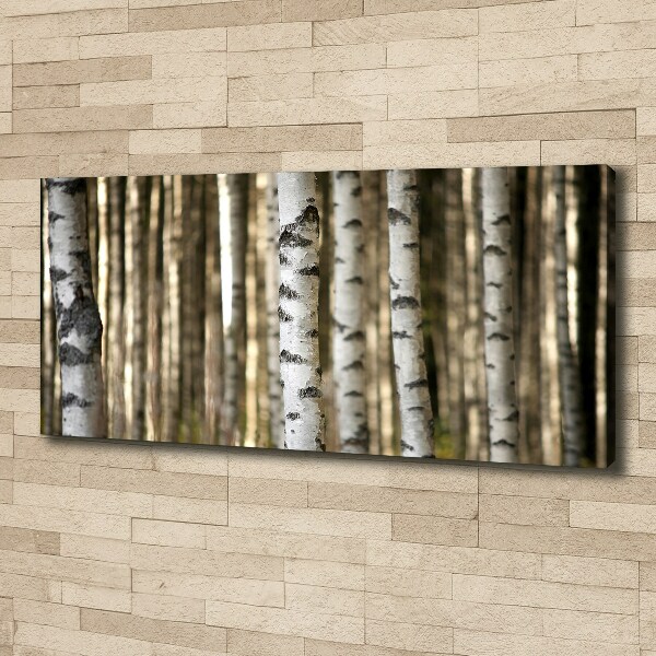 Canvas wall art Birch