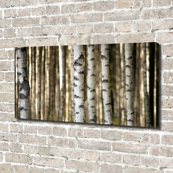 Canvas wall art Birch