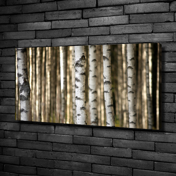 Canvas wall art Birch