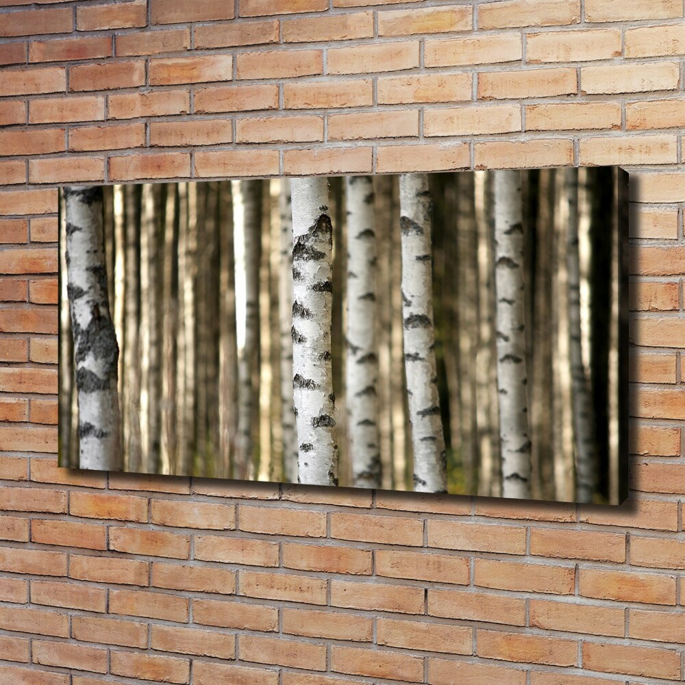 Canvas wall art Birch