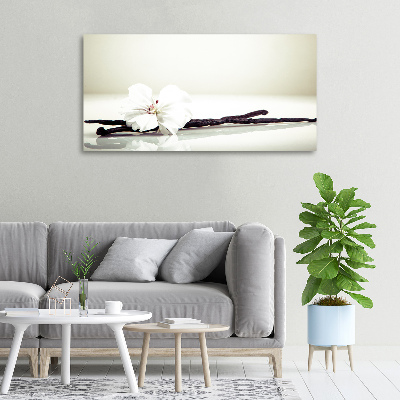 Canvas wall art Vanilla chick