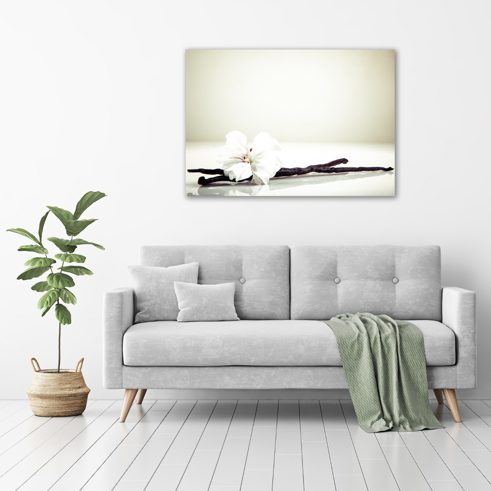 Canvas wall art Vanilla chick