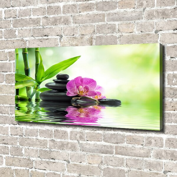 Canvas wall art Orchid