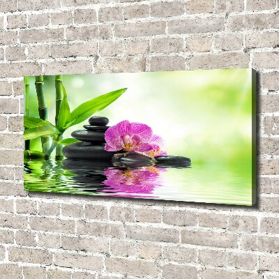 Canvas wall art Orchid