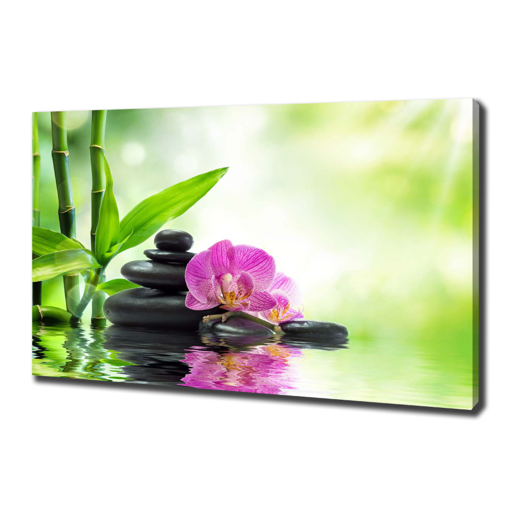 Canvas wall art Orchid