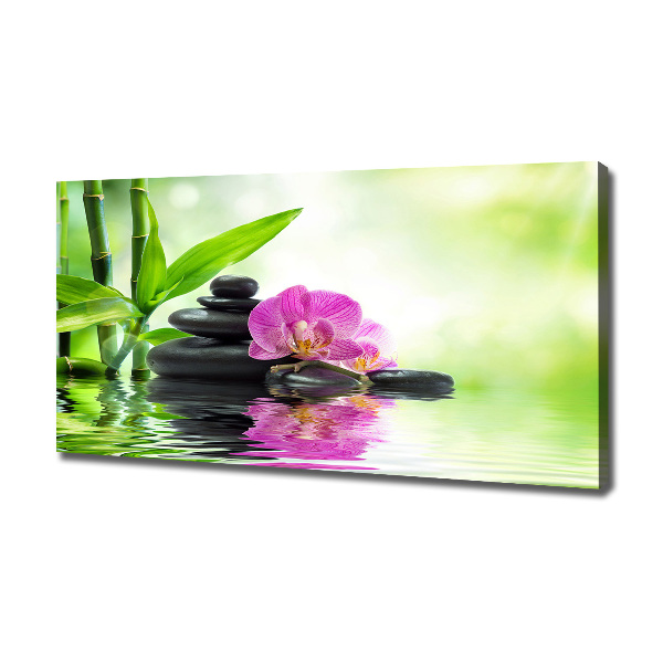 Canvas wall art Orchid