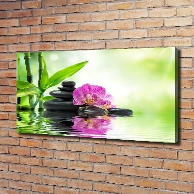 Canvas wall art Orchid