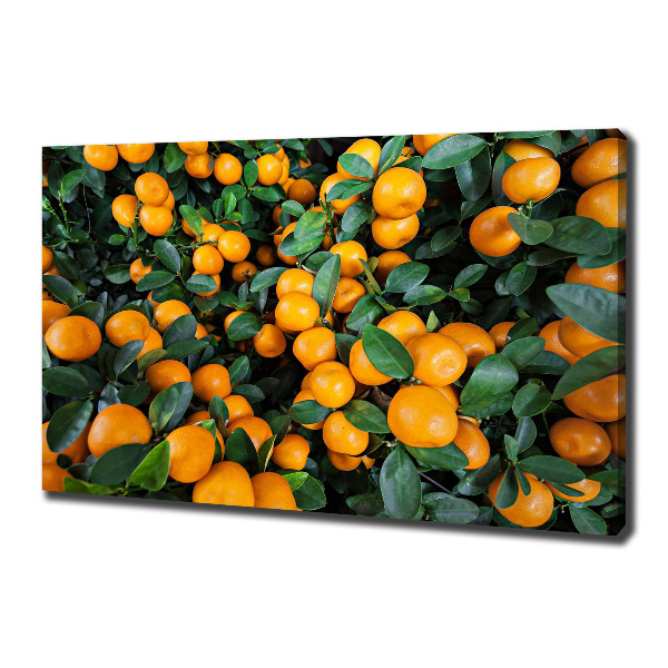 Canvas wall art Tangerines