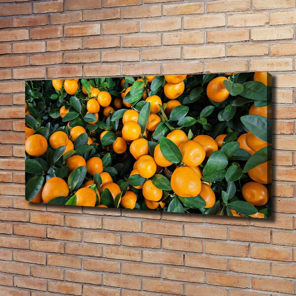 Canvas wall art Tangerines