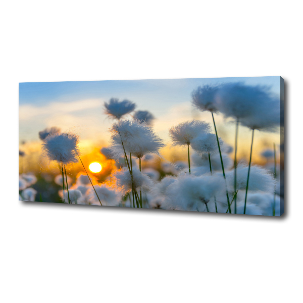 Canvas wall art Woolly