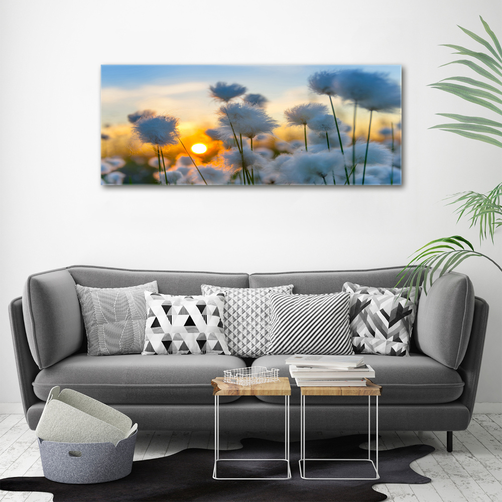 Canvas wall art Woolly