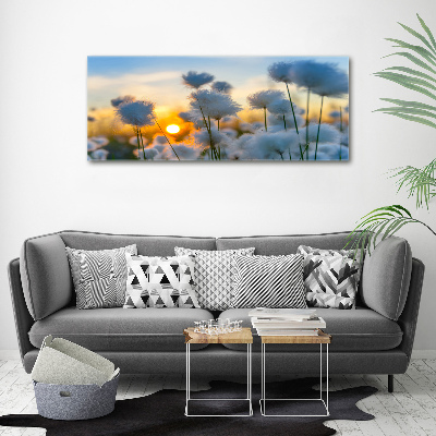 Canvas wall art Woolly