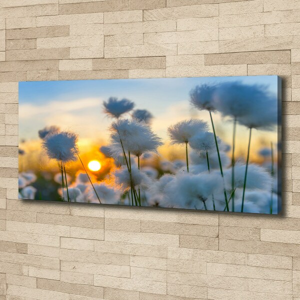 Canvas wall art Woolly