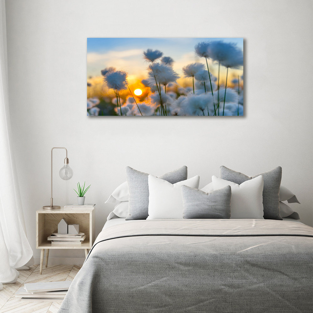 Canvas wall art Woolly