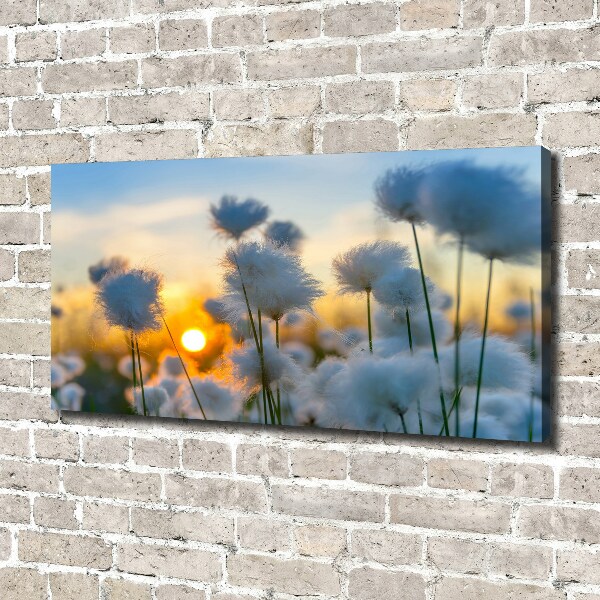 Canvas wall art Woolly