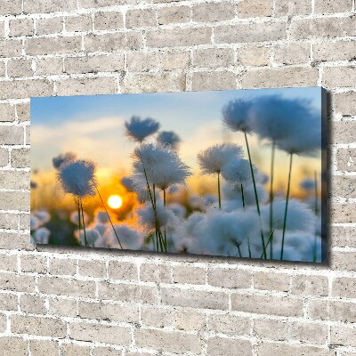 Canvas wall art Woolly