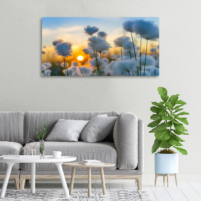 Canvas wall art Woolly