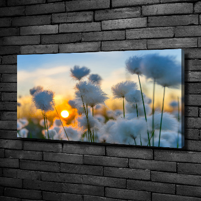 Canvas wall art Woolly